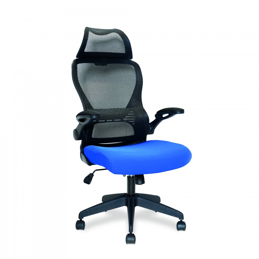 Canis High Back Mesh Office Chair